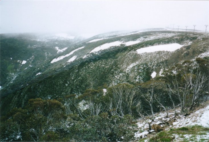 Mt Hotham.jpg