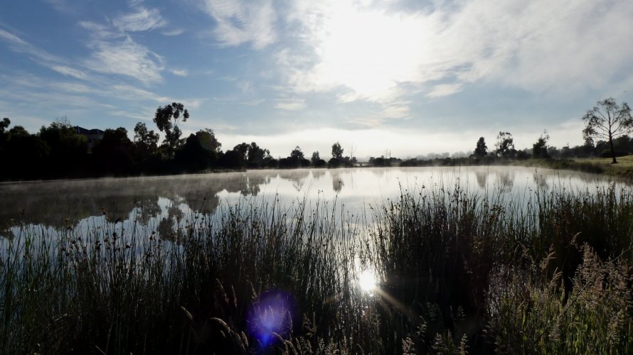 P1060071.JPG P1060071.JPG