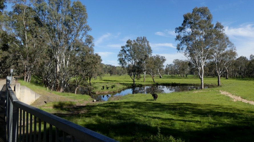 P1060079.JPG P1060079.JPG