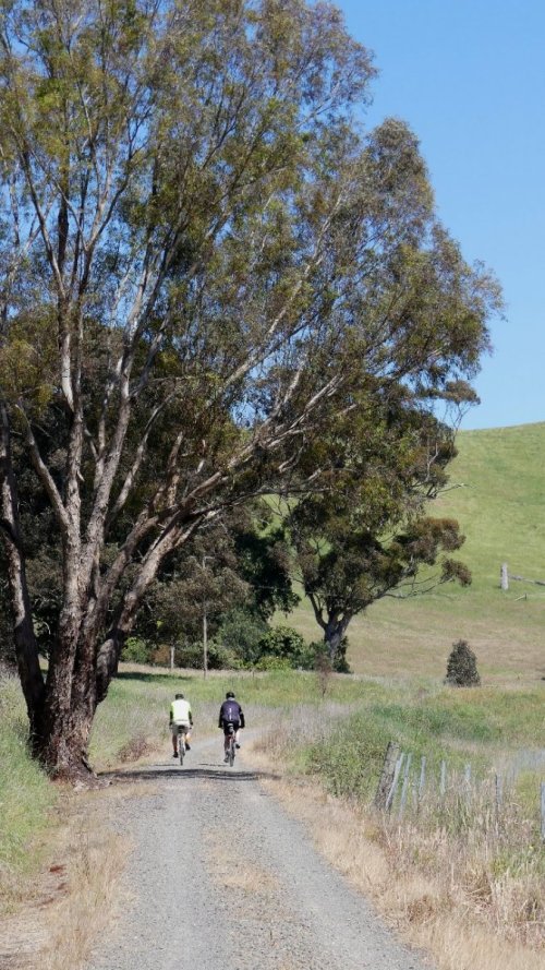 P1060084.JPG P1060084.JPG