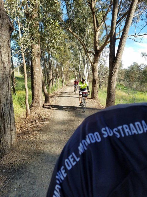 247325668_839260026740813_4434883708156748236_n.jpg 247325668_839260026740813_4434883708156748236_n.jpg