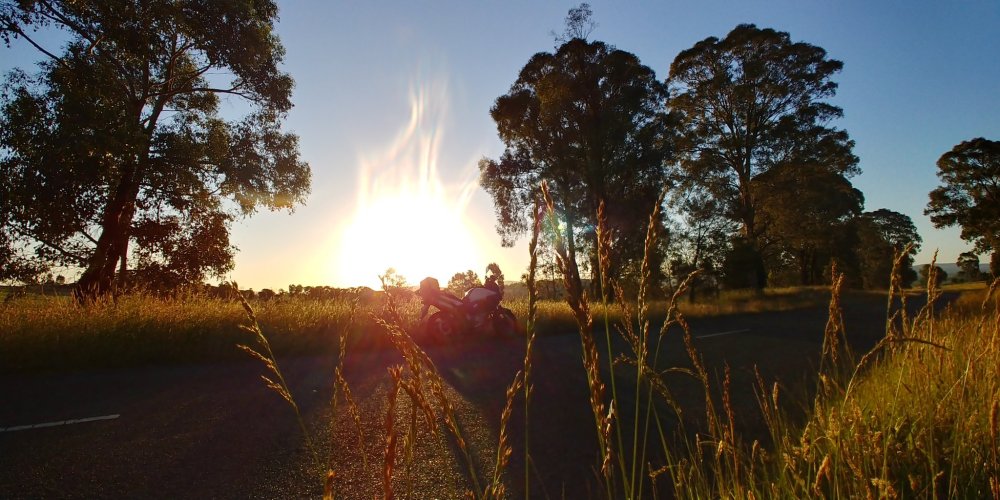 20211205_195159_HDR.jpg