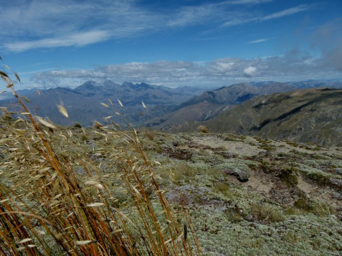 P1130245.JPG