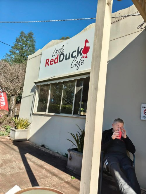 redduck.jpg