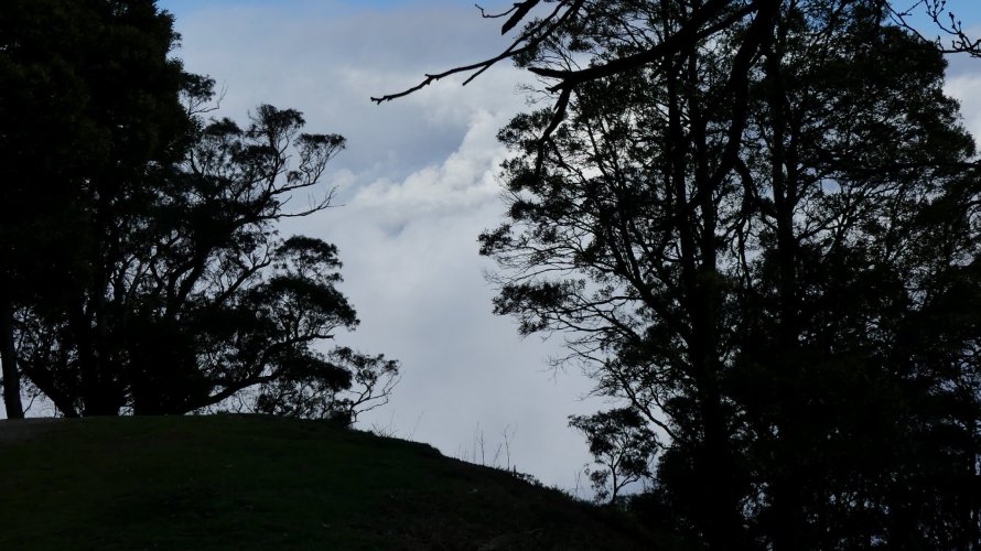 P1070445.JPG P1070445.JPG