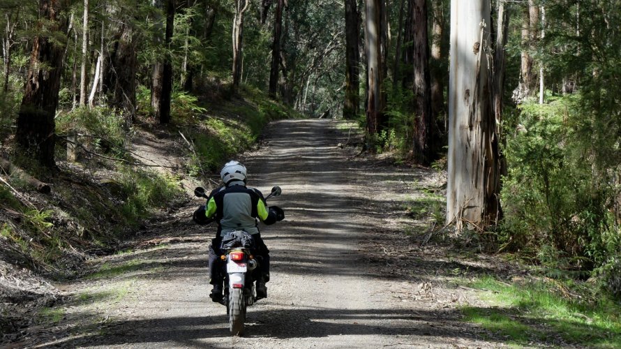 P1070448.JPG P1070448.JPG