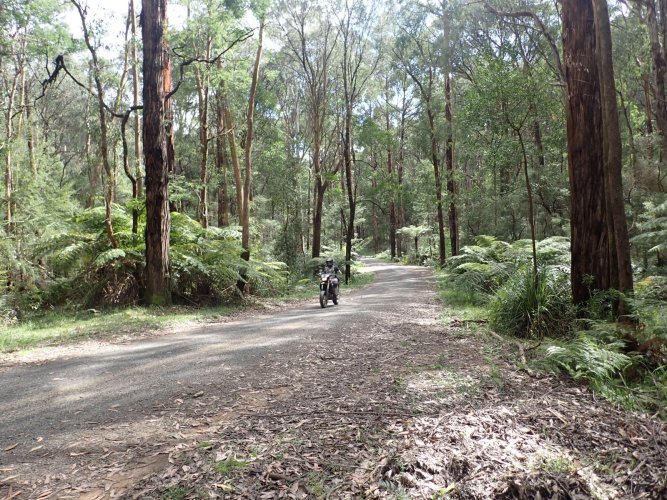 PA090011.JPG PA090011.JPG