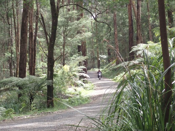 PA090015.JPG PA090015.JPG