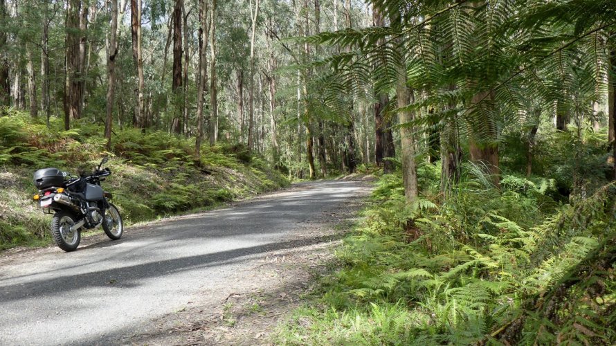 P1070452.JPG P1070452.JPG