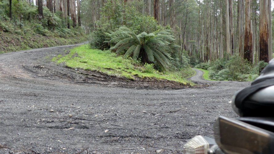 P1070458.JPG P1070458.JPG