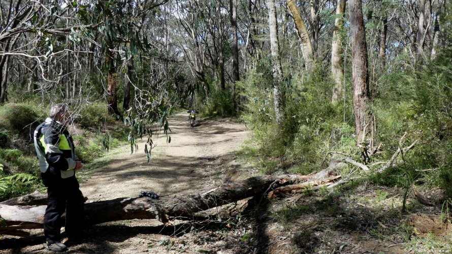 P1070462.JPG P1070462.JPG