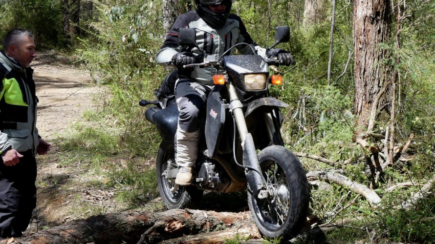 P1070463.JPG P1070463.JPG