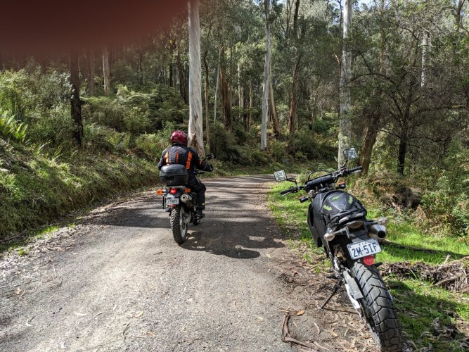 PXL_20221009_000046646.jpg PXL_20221009_000046646.jpg