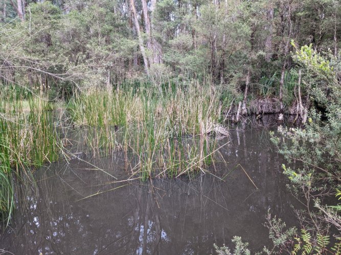 PXL_20221009_001543838.jpg PXL_20221009_001543838.jpg