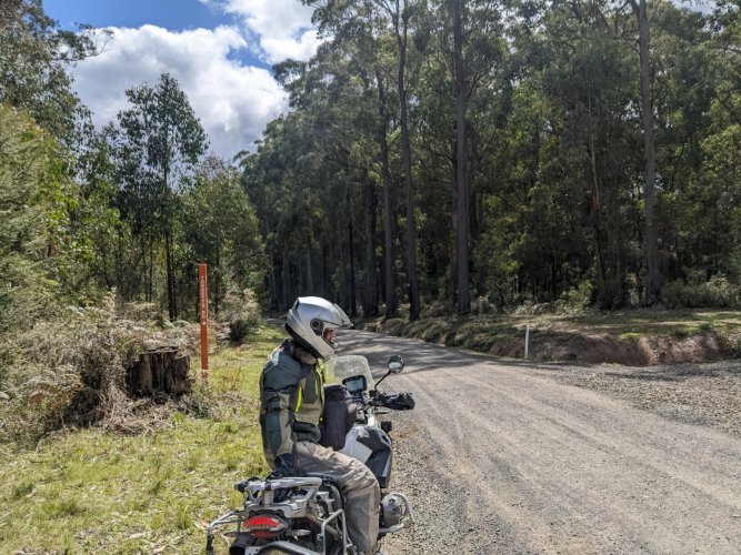 PXL_20221009_010322566.jpg PXL_20221009_010322566.jpg