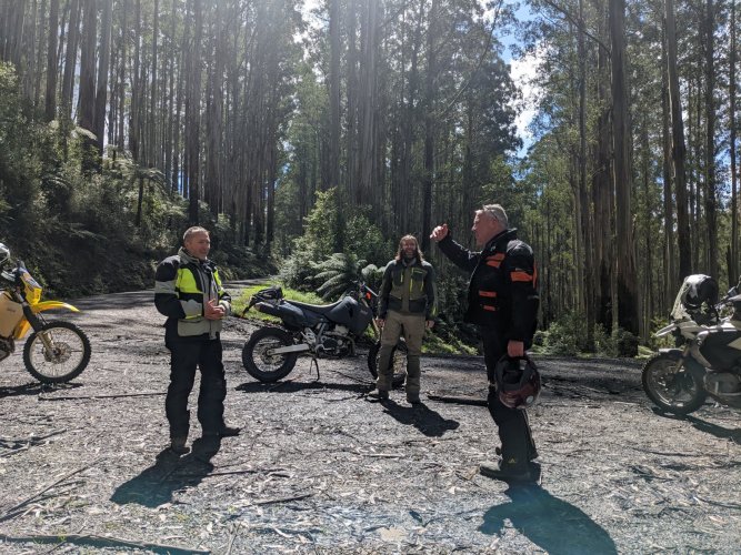 PXL_20221009_013023764.jpg PXL_20221009_013023764.jpg