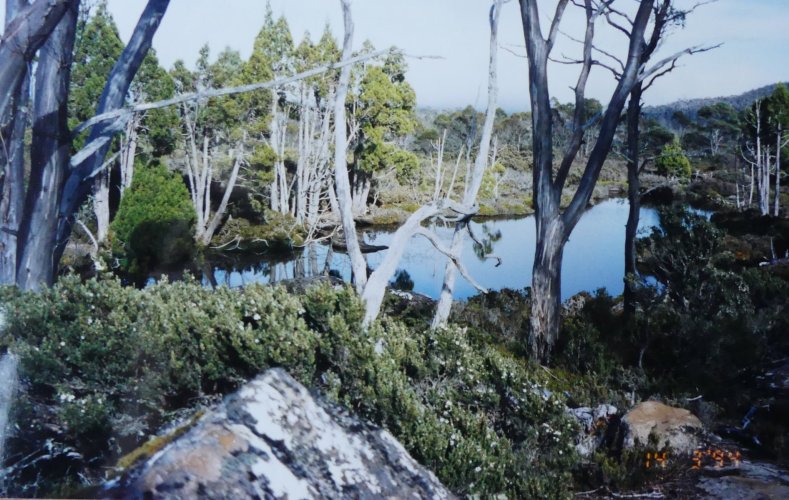 Header thumbs image