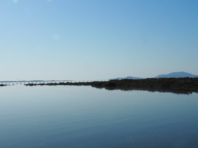 Header thumbs image