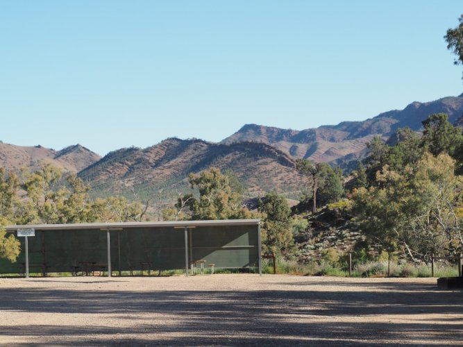 P9020777_Original.jpeg P9020777_Original.jpeg