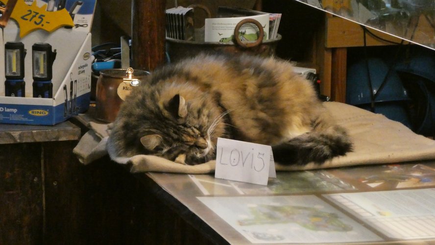 2023-08-30 Elmhult-Hjo (9).JPG