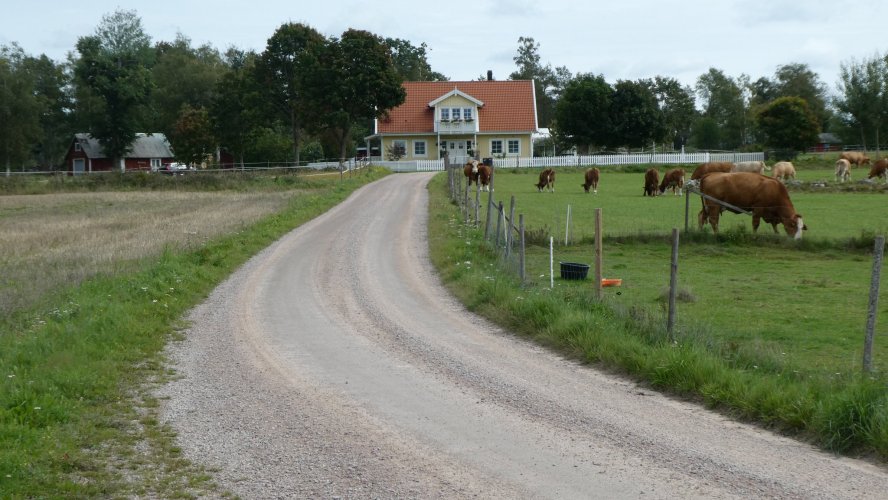 2023-08-30 Elmhult-Hjo (11).JPG