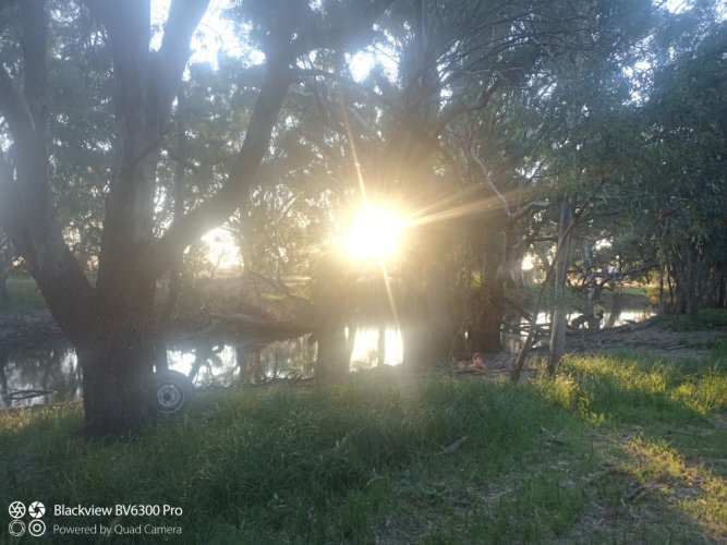 IMG_20240211_071932_953 (Large).jpg