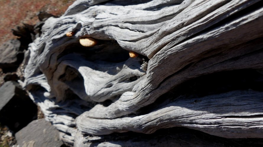 Header thumbs image