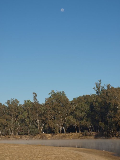Header thumbs image