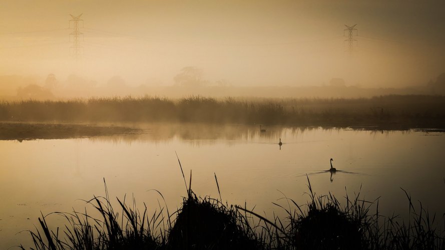 Header thumbs image
