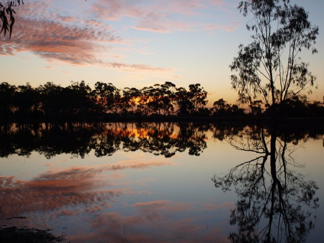 Header thumbs image
