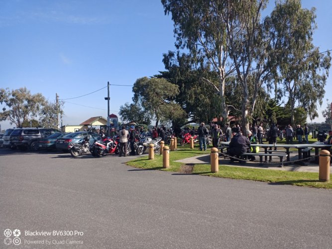 IMG_20240801_111455_235 (Large).jpg