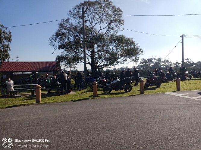 IMG_20240801_111509_242 (Large).jpg