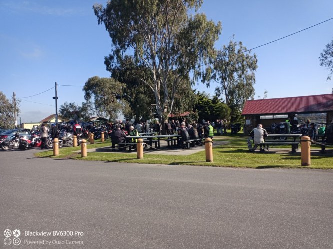 IMG_20240801_111512_310 (Large).jpg