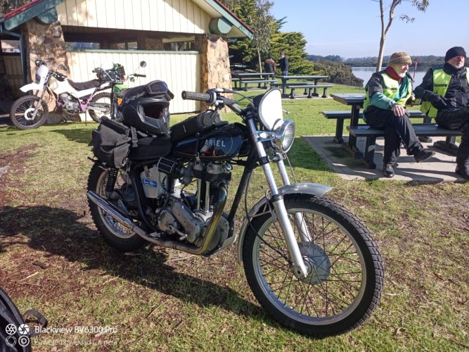 IMG_20240801_111658_889 (Large).jpg