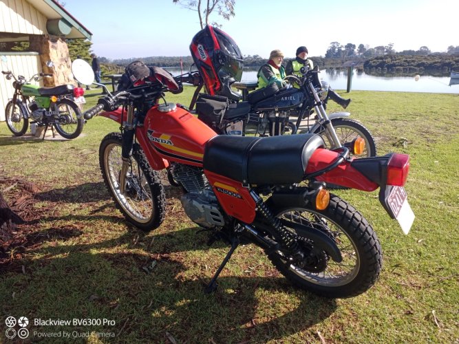 IMG_20240801_111714_365 (Large).jpg