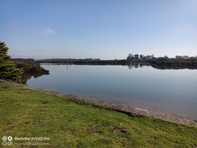 IMG_20240801_111807_798 (Large).jpg