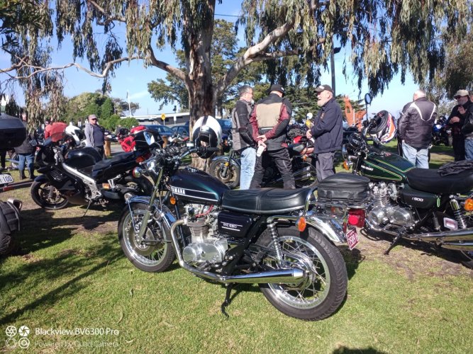 IMG_20240801_111824_915 (Large).jpg