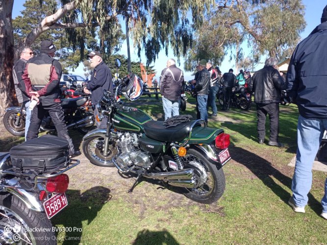 IMG_20240801_111829_785 (Large).jpg