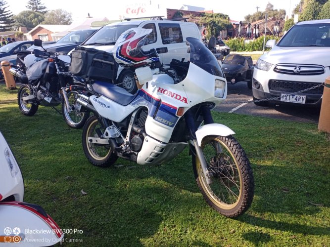 IMG_20240801_112305_245 (Large).jpg