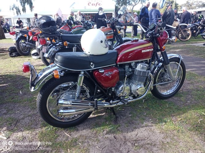 IMG_20240815_104435_935 (Large).jpg