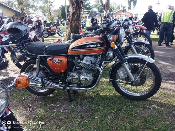 IMG_20240815_104443_708 (Large).jpg