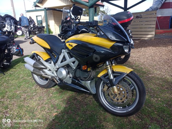 IMG_20240815_104508_175 (Large).jpg