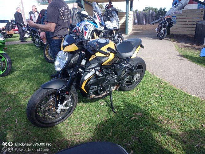 IMG_20240815_104525_480 (Large).jpg