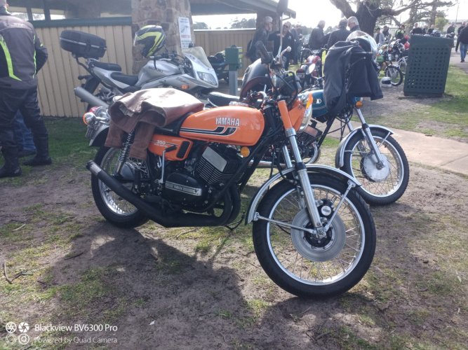 IMG_20240815_104612_211 (Large).jpg