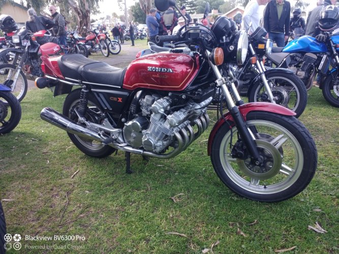 IMG_20240815_105052_691 (Large).jpg