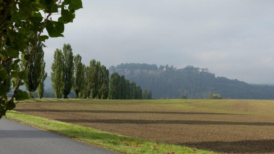 Header thumbs image