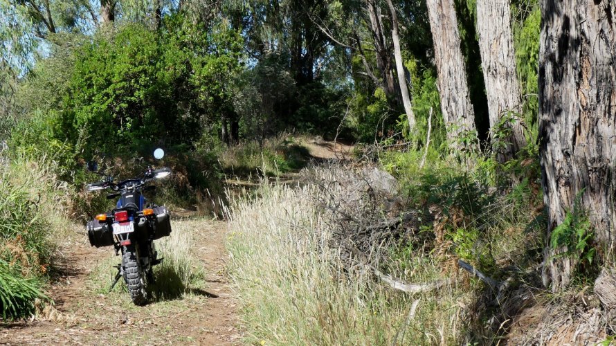 2025_Yarra_Wander004.JPG