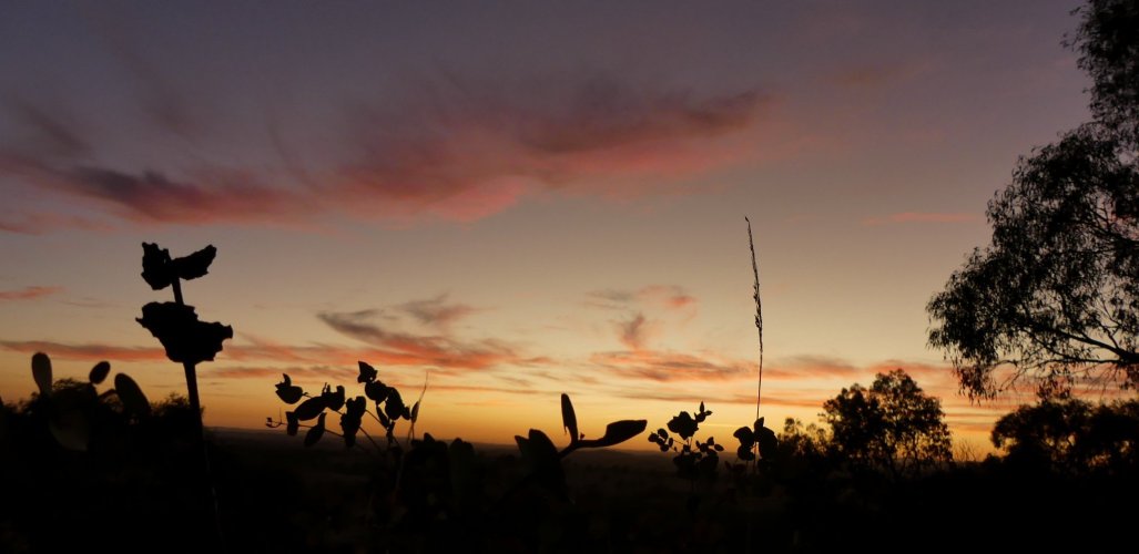 Header thumbs image