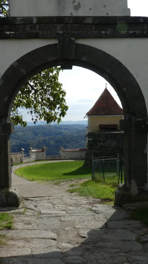 P1130331.webp