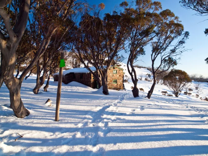 Cleve Cole Hut Mt Bogong, Alpine National Park, Victoria, Australia.webp